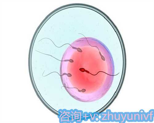 试管取卵流程与助孕技术解析