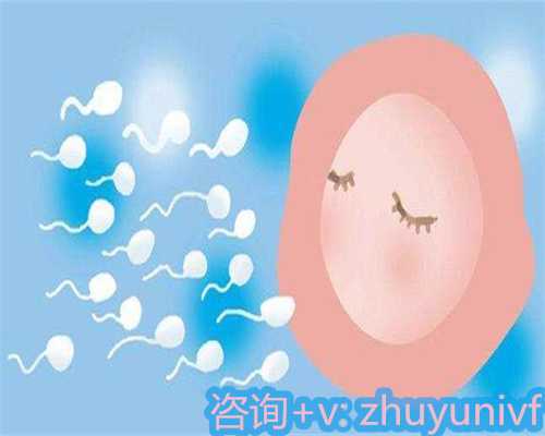 试管助孕中哪些患者需要卵巢预处理及降调针应用