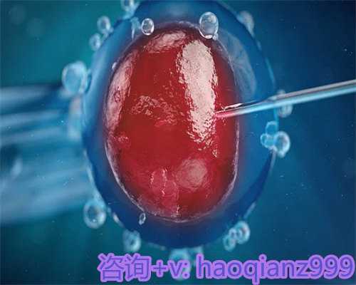 代怀生儿子与二胎产假政策及试管取卵流程详解