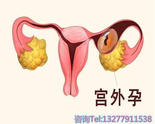 试管婴儿胚胎等级与成功率解析