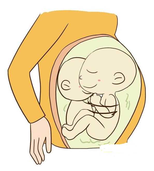 2026年最新供卵试管助孕医院排名与现状分析