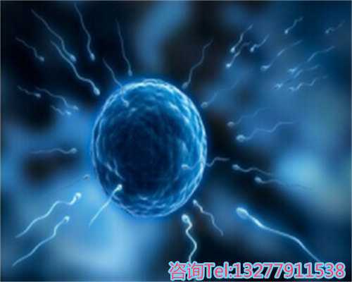 试管婴儿移植后注意事项与成功率提升指南