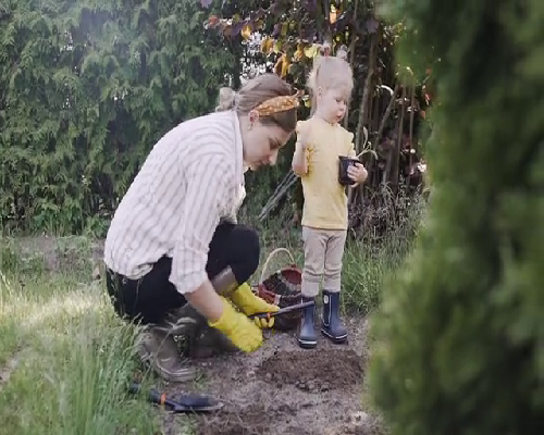 单身试管助孕与医院选择指南