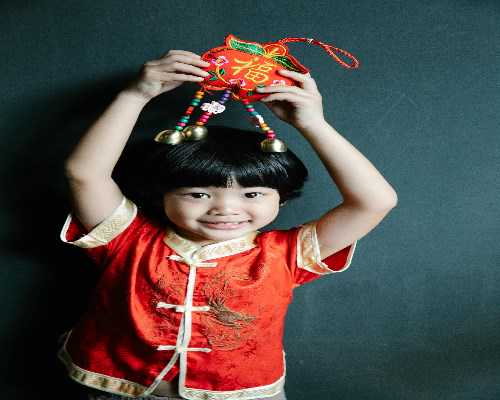 试管助孕流程与分蜂技术解析