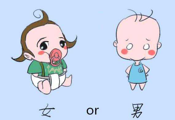 试管助孕性别筛选的法律与医学解析