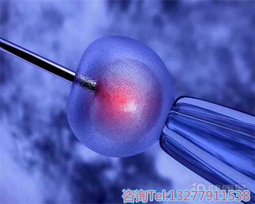 提升电子秤准确性与称重技巧：轻松减重秘诀全解析