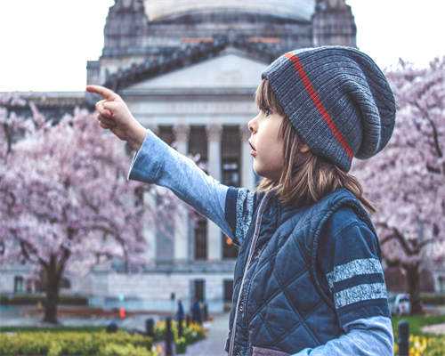 囊胚移植数量的大忌与供卵助孕须知
