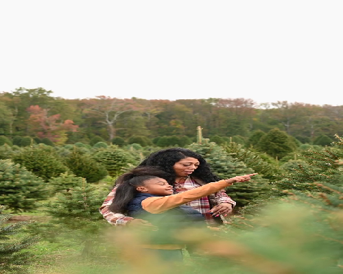 14个卵泡的怀孕成功率预估