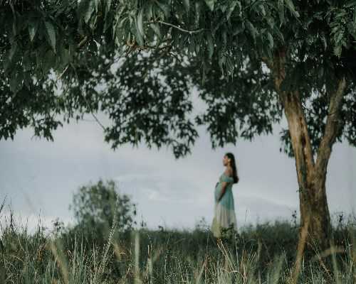 卵泡成熟与排卵过程详解及睾酮过高影响分析