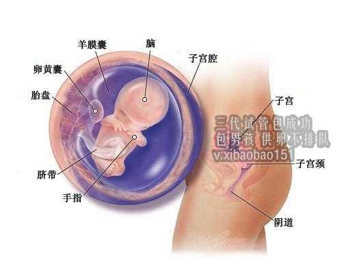 重庆找的好代孕公司,试管中医理疗有用吗